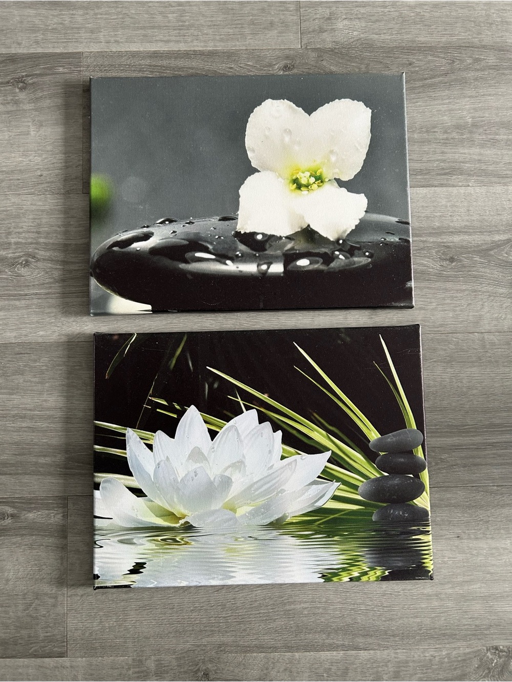 Tranquil White Lotus Wall Art Set - Unbranded